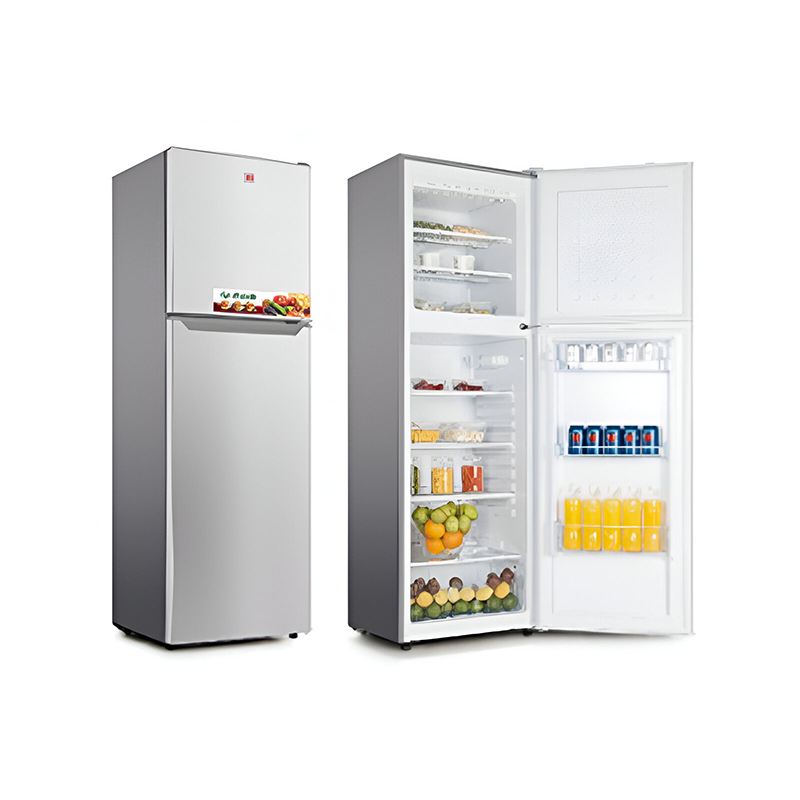 450 L FG POWER Silver Fridge